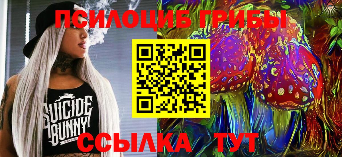 Псилоцибиновые грибы мухоморы  Вход с VPN  Каспийск  купить закладку  Псилоцибиновые грибы мухоморы 